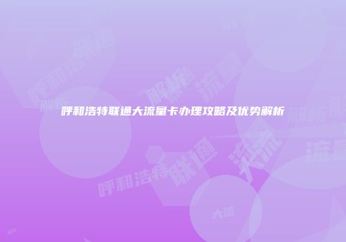 呼和浩特联通大流量卡办理攻略及优势解析