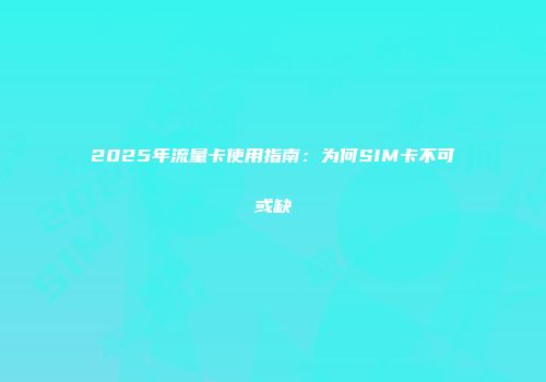 2025年流量卡使用指南：为何SIM卡不可或缺