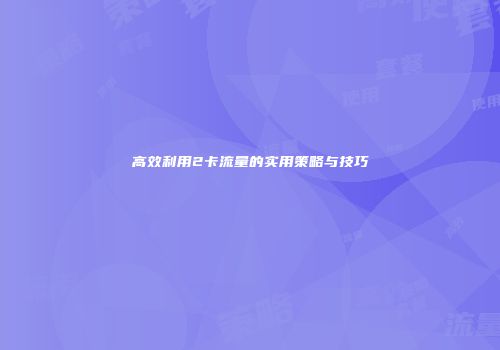 高效利用2卡流量的实用策略与技巧