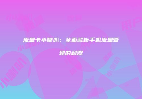流量卡小喇叭：全面解析手机流量管理的利器