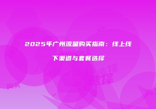 2025年广州流量购买指南：线上线下渠道与套餐选择