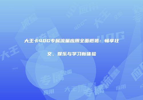 大王卡40G专属流量应用全面概览：畅享社交、娱乐与学习新体验