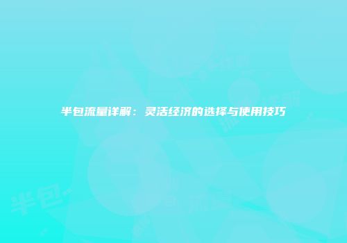 半包流量详解：灵活经济的选择与使用技巧