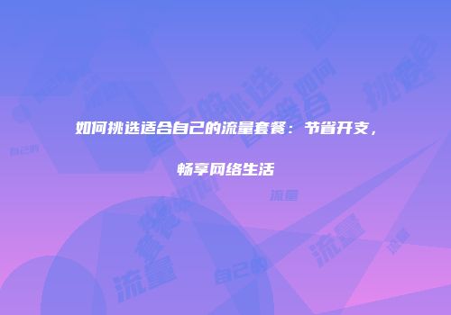 如何挑选适合自己的流量套餐：节省开支，畅享网络生活