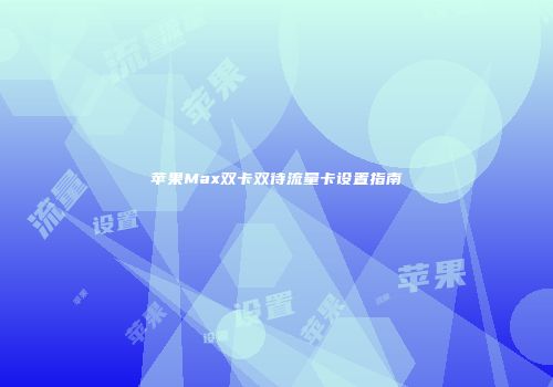 苹果Max双卡双待流量卡设置指南