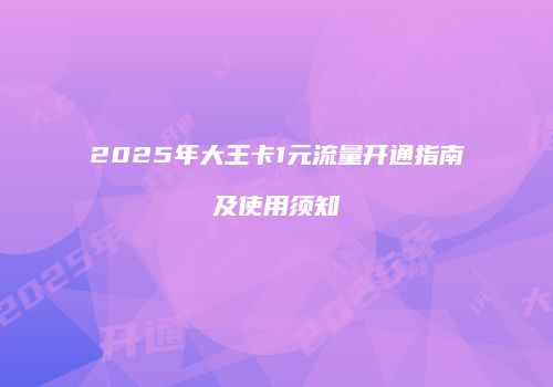 2025年大王卡1元流量开通指南及使用须知