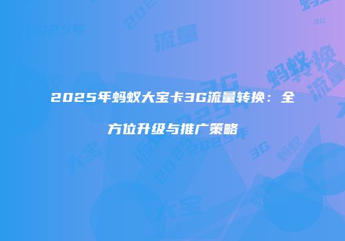 2025年蚂蚁大宝卡3G流量转换：全方位升级与推广策略