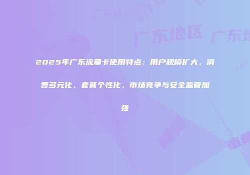 2025年广东流量卡使用特点：用户规模扩大，消费多元化，套餐个性化，市场竞争与安全监管加强