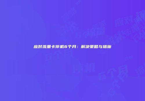 应对流量卡停机6个月：解决策略与措施