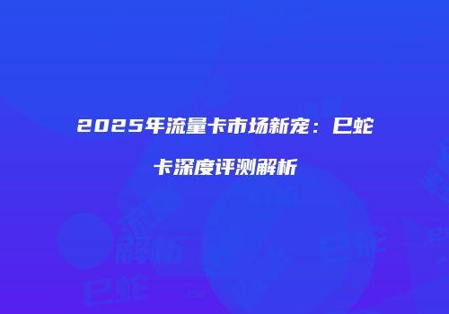 2025年流量卡市场新宠：巳蛇卡深度评测解析