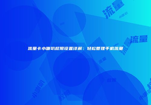 流量卡小喇叭权限设置详解：轻松管理手机流量