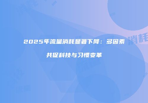 2025年流量消耗显著下降：多因素共促科技与习惯变革