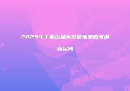 2025年手机流量高效管理策略与创新实践