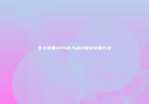 王卡流量APN接入点详解及设置方法