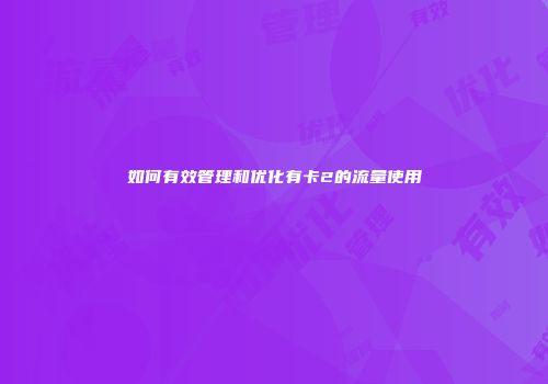 如何有效管理和优化有卡2的流量使用