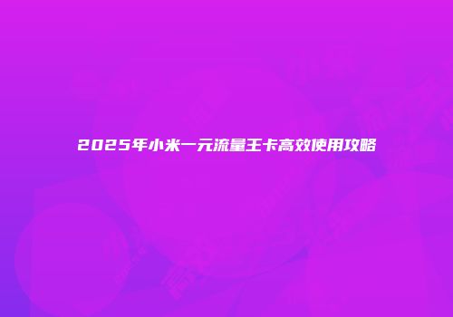 2025年小米一元流量王卡高效使用攻略