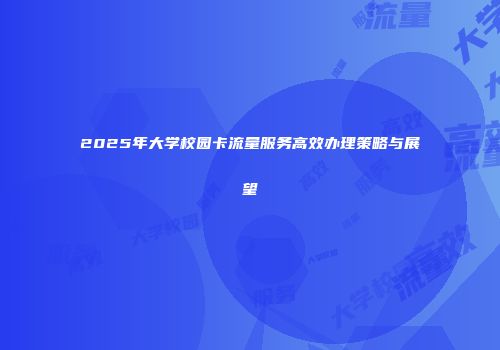 2025年大学校园卡流量服务高效办理策略与展望