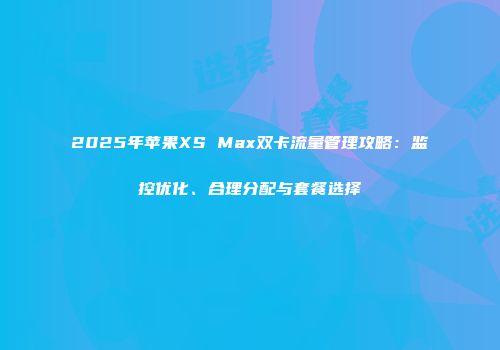 2025年苹果XS Max双卡流量管理攻略：监控优化、合理分配与套餐选择
