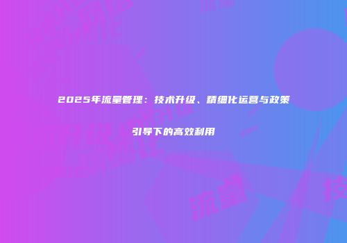 2025年流量管理：技术升级、精细化运营与政策引导下的高效利用