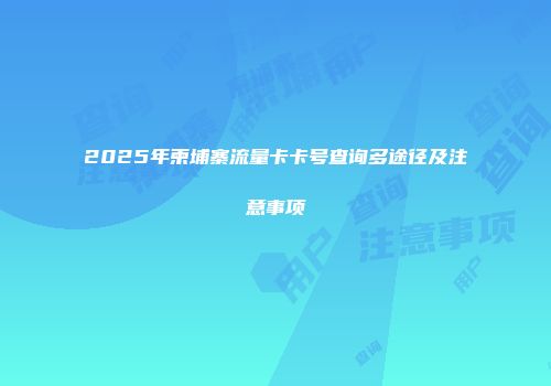2025年柬埔寨流量卡卡号查询多途径及注意事项