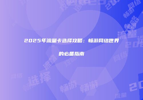 2025年流量卡选择攻略：畅游网络世界的必备指南