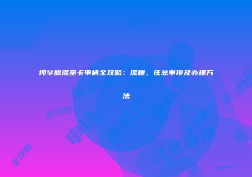 纯享版流量卡申请全攻略：流程、注意事项及办理方法