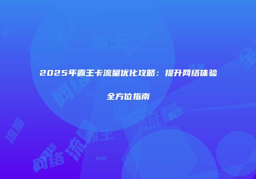 2025年霸王卡流量优化攻略：提升网络体验全方位指南
