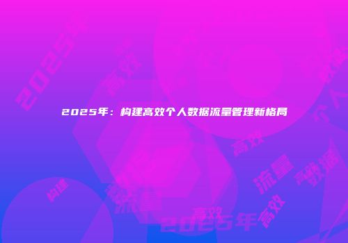 2025年：构建高效个人数据流量管理新格局