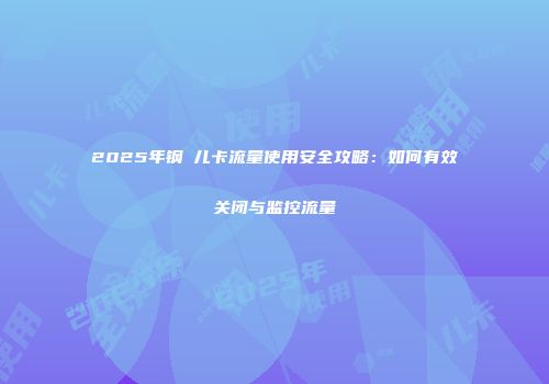 2025年钢镚儿卡流量使用安全攻略：如何有效关闭与监控流量