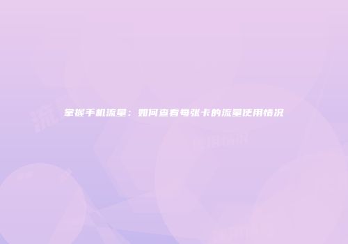 掌握手机流量：如何查看每张卡的流量使用情况