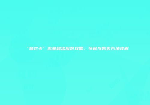 ‘灿烂卡’流量超出应对攻略：节省与购买方法详解