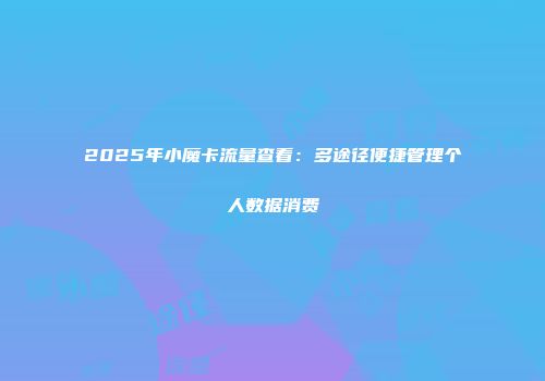 2025年小魔卡流量查看：多途径便捷管理个人数据消费