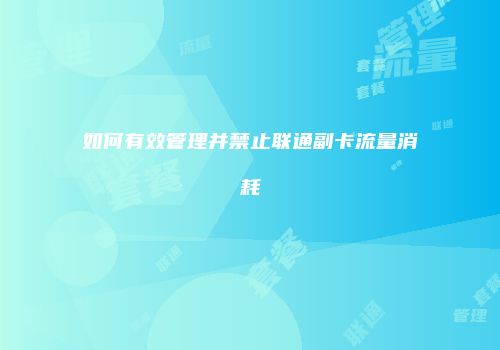 如何有效管理并禁止联通副卡流量消耗