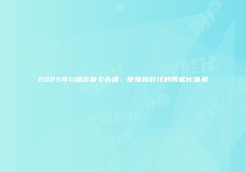 2025年U盘流量卡办理：便捷新时代的智能化体验