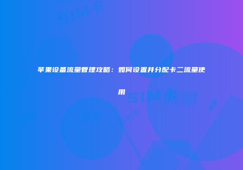 苹果设备流量管理攻略：如何设置并分配卡二流量使用