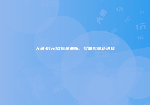 大鱼卡1元1G流量解析：实惠流量新选择