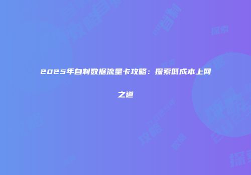 2025年自制数据流量卡攻略：探索低成本上网之道