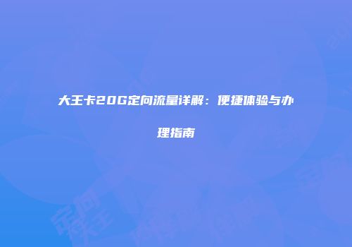 大王卡20G定向流量详解：便捷体验与办理指南
