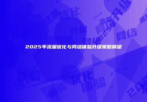 2025年流量优化与网络体验升级策略展望