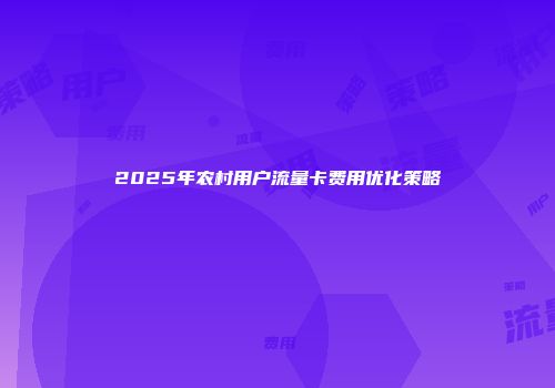 2025年农村用户流量卡费用优化策略
