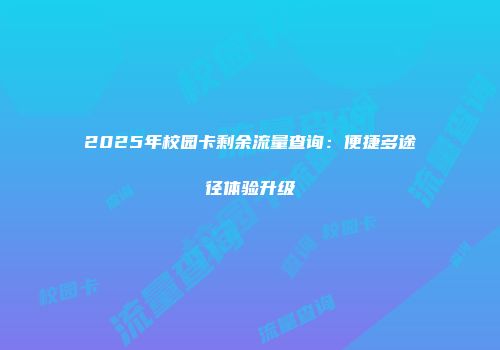2025年校园卡剩余流量查询：便捷多途径体验升级