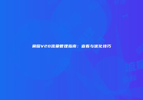 荣耀V20流量管理指南：查看与优化技巧