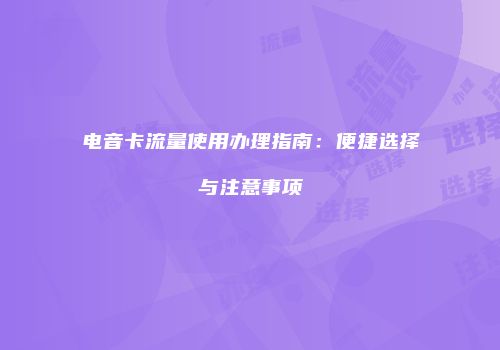 电音卡流量使用办理指南：便捷选择与注意事项