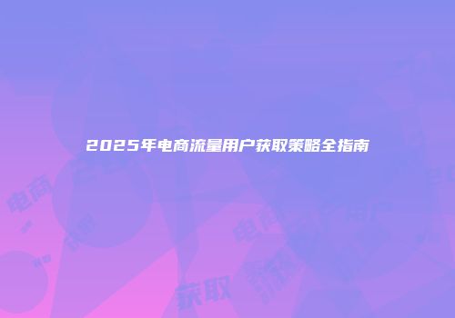 2025年电商流量用户获取策略全指南