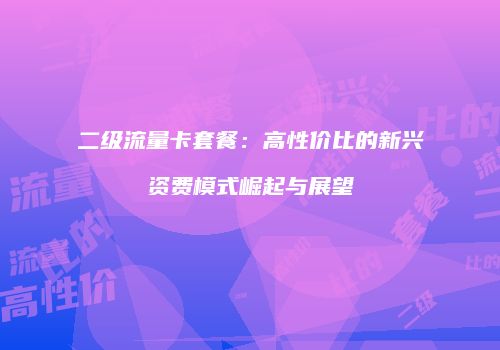 二级流量卡套餐：高性价比的新兴资费模式崛起与展望