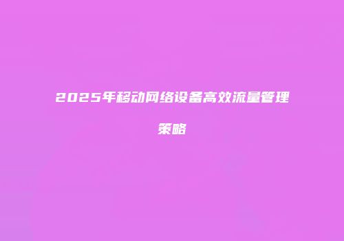 2025年移动网络设备高效流量管理策略