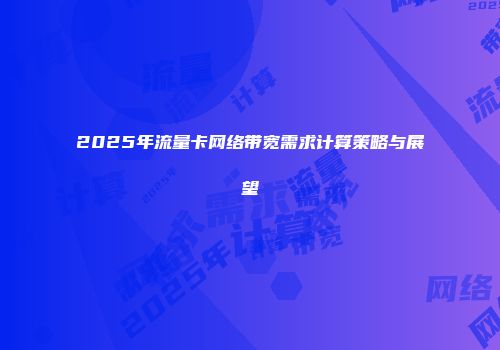2025年流量卡网络带宽需求计算策略与展望