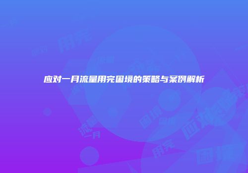 应对一月流量用完困境的策略与案例解析