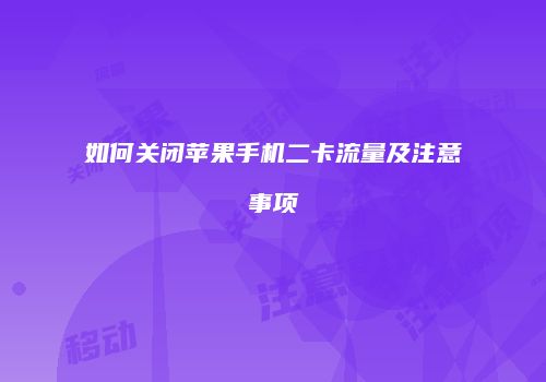 如何关闭苹果手机二卡流量及注意事项