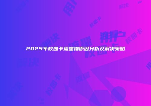 2025年校园卡流量慢原因分析及解决策略